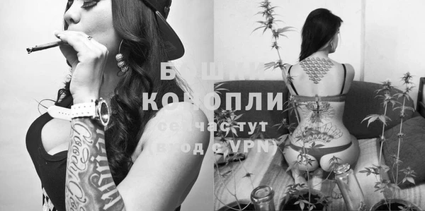 прущие крисы Балахна