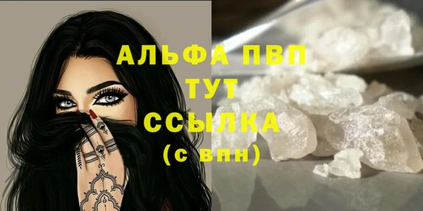 индика Балабаново