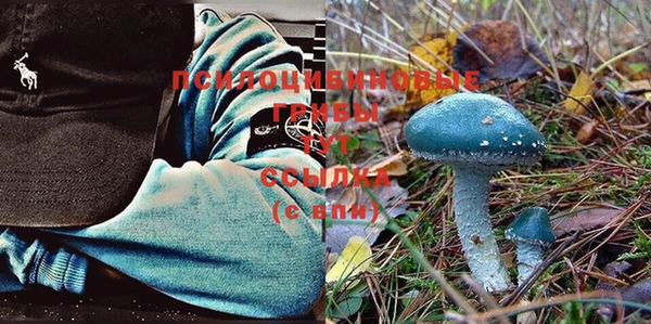 индика Балабаново