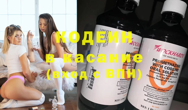 индика Балабаново