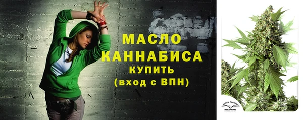 индика Балабаново