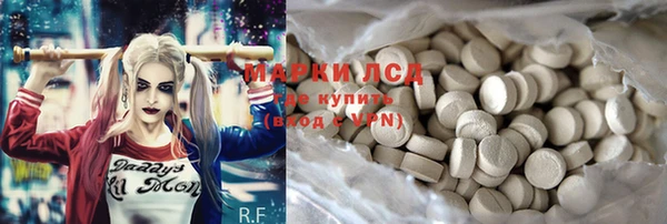индика Балабаново